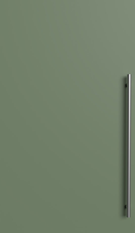 Wooden green cabinet door with silver handle